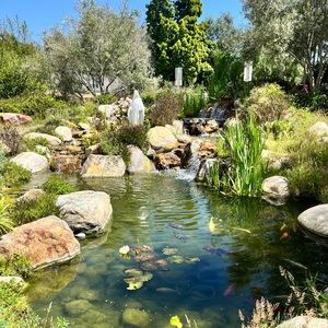 Meet your Posher, Jasmin